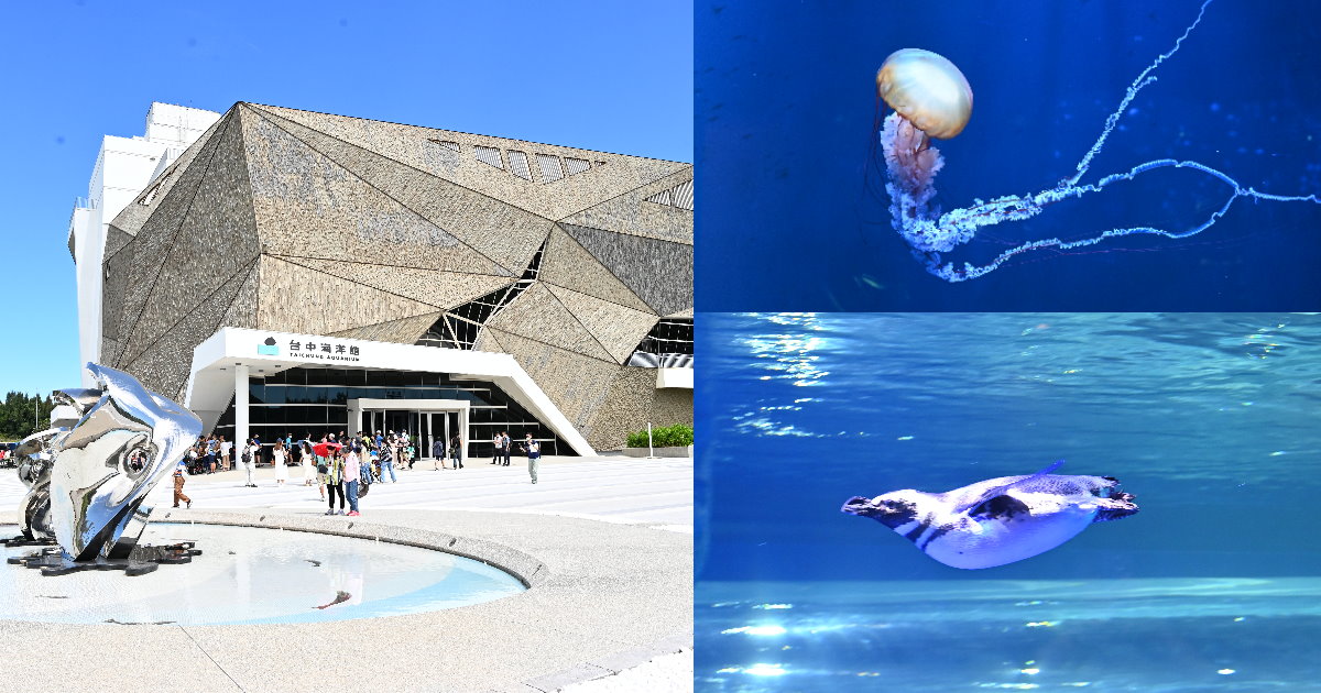 台中海洋館試營運開箱！八大展區、票價優惠一次看～